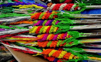 ilustracja aktualności: Niedziela Palmowa w Wygiełzowie - ważne informacje dla uczestnik&oacute;w wyjazdu