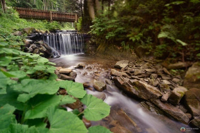 ilustracja aktualności: Wiosenne Rajdy G&oacute;rskie z UTW Akademii WSB
