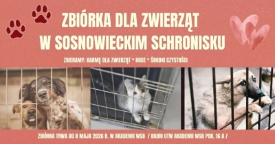 ilustracja aktualności: Razem dla Zwierząt &ndash; zbi&oacute;rka na rzecz schroniska w Sosnowcu!