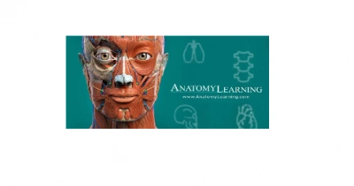 ilustracja aktualności: Dostęp do platformy Anatomy Learning