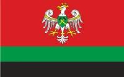 ilustracja aktualności: Tożsamość i symbolika Zagłębia Dąbrowskiego - wykład otwarty