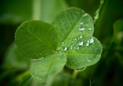 ilustracja aktualności: Powodzenia na maturze!