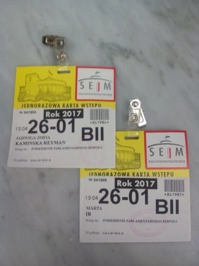 ilustracja aktualności: Ekspertki WSB biorą udział w pracach Parlamentarnej Grupy ds. Autyzmu