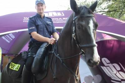 ilustracja aktualności: WSB na Śląskim Festynie Służb Mundurowych!