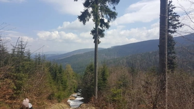 ilustracja aktualności: Górski Rajd Integracyjny Studentów  Akademii WSB