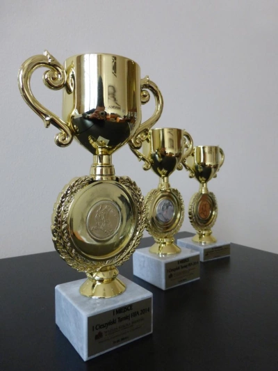 ilustracja aktualności: Zapraszamy do kibicowania podczas I Cieszyńskiego Turnieju FIFA 2014