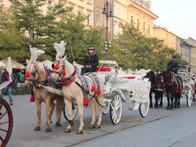 ilustracja aktualności: Inauguracja Roku Akademickiego 2015/2016  - podsumowanie