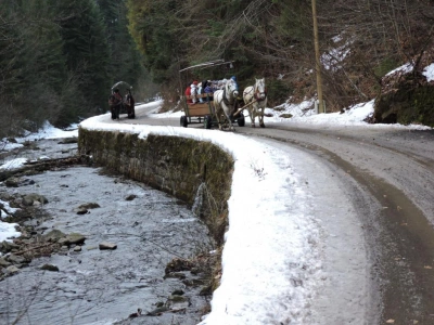 ilustracja aktualności: Wisła - Perła Beskid&oacute;w