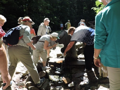 ilustracja aktualności: 18.06.2016 r. &ndash; Wycieczka w G&oacute;ry Świętokrzyskie