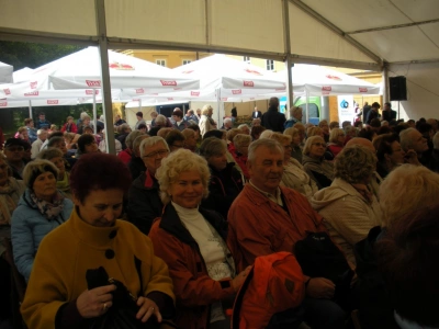 ilustracja aktualności: Dzień Seniora w Koszęcinie!