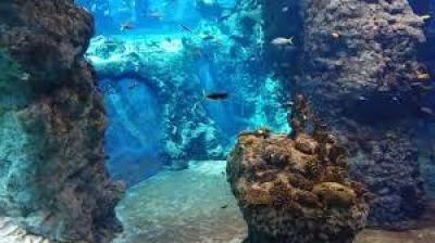 ilustracja aktualności: Wycieczka do WROCŁAWIA!