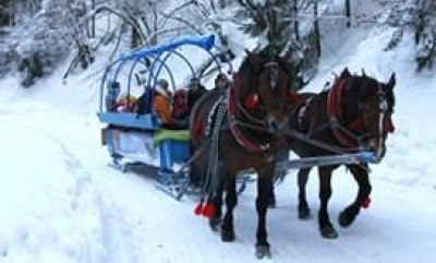 ilustracja aktualności: Zapraszamy na kulig do BRENNEJ!