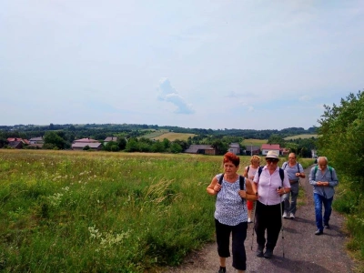 ilustracja aktualności: V Rajd Jurajski z UTW Akademii WSB 