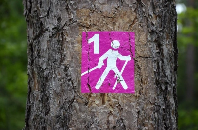 ilustracja aktualności: Nordic walking - idealny sport dla Seniora :)