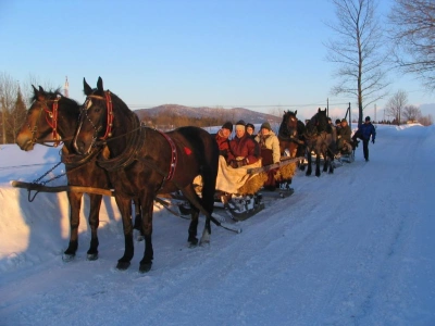ilustracja aktualności: Z kopyta kulig rwie! Z kopyta kulig rwie - hej!