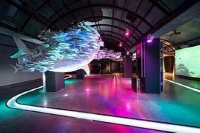 ilustracja aktualności: Magiczny dzień we Wrocławiu - zaproszenie na wycieczkę