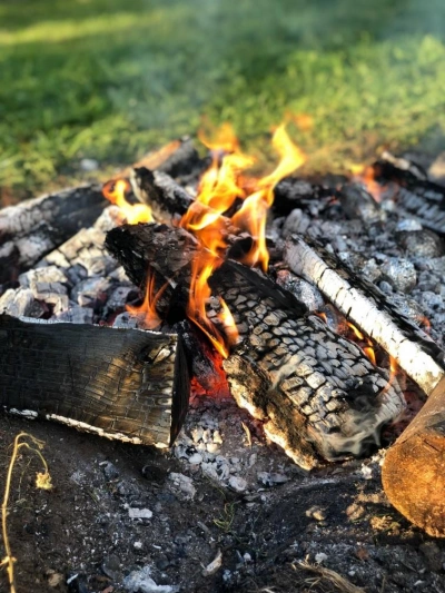 ilustracja aktualności: Co to był za dzień! 