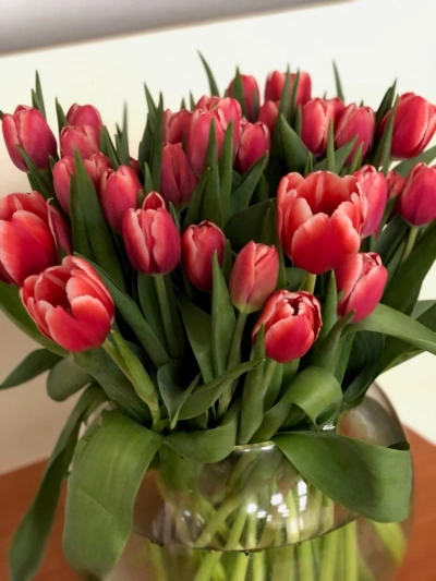 ilustracja aktualności: Akademia WSB jest kobietą! 