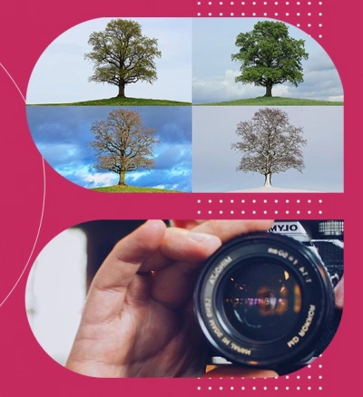 ilustracja aktualności: 70 uczestnik&oacute;w nadesłało 459 fotografii !