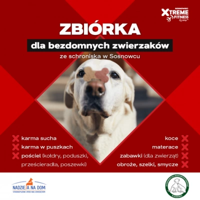 ilustracja aktualności: Zbi&oacute;rka dla bezdomnych zwierząt ze schroniska w Sosnowcu