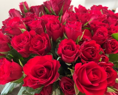 ilustracja aktualności: Dzień kobiet UTW Akademii WSB