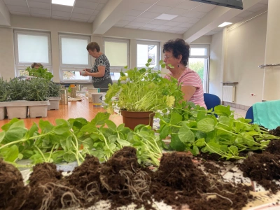 ilustracja aktualności: Seniorzy eko BOHATEREM w UTW Akademii WSB