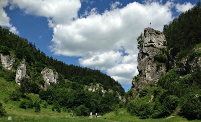 ilustracja aktualności: VII Jurajski Rajd Uniwersytetów Trzeciego Wieku