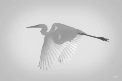 ilustracja aktualności: Nagrodzone fotografie w V Konkursie Fotograficznym UTW 2022r.