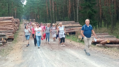 ilustracja aktualności: Letnia Akademia Seniora w pełni !